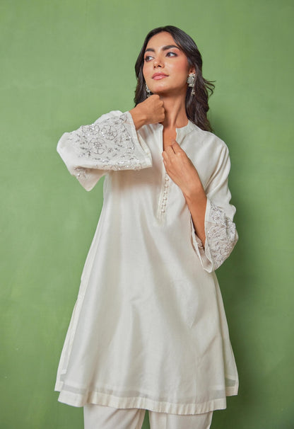 Opulent Chanderi Coord Set with Hand Embroidery - Tara - C - Tara